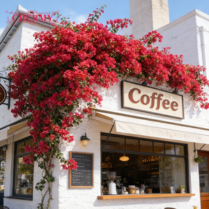 Fleur artificielle <span class=keywords><strong>de</strong></span> <span class=keywords><strong>bougainvillier</strong></span> <span class=keywords><strong>de</strong></span> soie bon marché <span class=keywords><strong>de</strong></span> CM-TH1424 en gros - Product Image 1