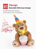Ours en peluche chantant et enregistrant HongRuiKe, avec chapeau de fête coloré et bougie lumineuse, rembourré en coton PP – Fournisseur d'usine