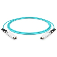 Mellanox MFS1S00-V010E Kompatibel dengan Kabel Optik Aktif InfiniBand 200G QSFP56 HDR dan Digunakan untuk Menghubungkan X-6 HCA