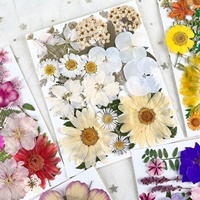 ZS038 Vente en Gros Plantes Naturelles Déshydratées DIY 25 Pièces Fleurs Séchées Pressées pour Résine Cadeaux de Festival Décoration