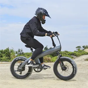 2023 Neuankömmling Elektrisches Mountainbike 7-Gang EU USA Lager Offroad Fat Tyres Fast Folding E Bike
