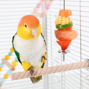 Paslanmaz çelik meyve çatalı için Pet kuşlar için meyve besleme ve temizlik aksesuar için kuş kafesleri kaliteli Pet ürünleri - Product Image 4