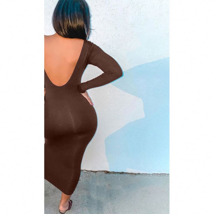 Shop Our Spring Sexy Solid Color Backless Long Sleeves Dress