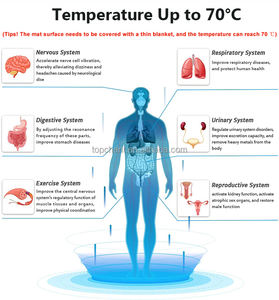 Alfombra de silla redonda de piedra de jade Turmalina de 45CM con terapia de infrarrojo lejano para eliminar la tensión productos sanitarios - Product Image 6