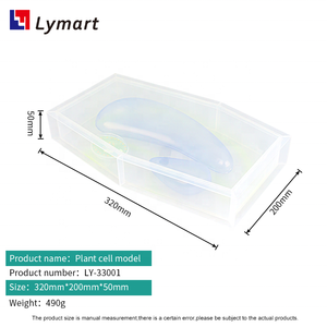 Modelo de estructura de células vegetales para equipos educativos de enseñanza de Biología - Product Image 4