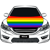 Housse de capot de voiture personnalisée en polyester extensible, motif Arc-en-ciel 'Victoires sur le Gay', pour défilés de voitures à thème Pride et protection solaire pour capot de voiture