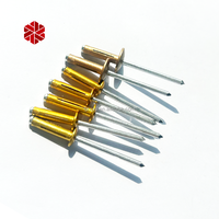 Chine Usine Étanche Couleur Peint Or Jaune Noir Tête Ronde Lanterne Rivet Rivet Aveugle