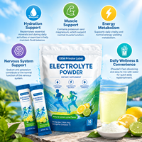 Poudre d'électrolytes 16 sachets 16g Saveur citron et lime naturelle Soutien hydratant Soutien énergétique pour femmes et hommes OEM ODM HALAL