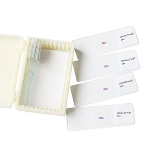 Magen wand Sec. Medical Slide Laboratory Lehr forschung Human histologie Mikroskop Vorbereitete Objektträger - Product Image 6