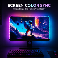 Bande lumineuse ambiante pour moniteur de jeu, synchronisation USB de l'écran, rétroéclairage RGBIC, barre LED pour PC Gamer, streamer, configuration de bureau, décoration de chambre