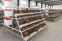 Cage à poules pondeuses à étages de type A, à trois niveaux et quatre portes, galvanisée à chaud, pour fermes domestiques