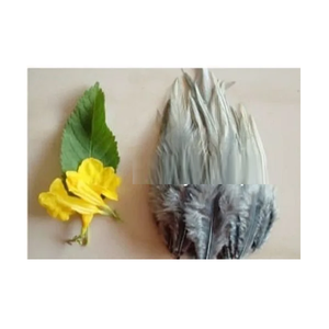 Plumas Teñidas Largas y Puntiagudas de 4.7 Pulgadas para Manualidades, Accesorios de Moda DIY, Decoraciones de Boda y Lujo - Product Image 3