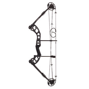 YML fábrica al por mayor polea compuesta arco y flecha M125 equipo de Tiro con Arco al aire libre 30-60 libras arco y flecha conjunto - Product Image 4