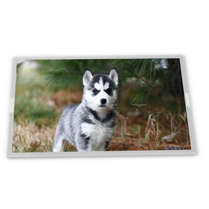 15inch 1024*768 Màn hình <span class=keywords><strong>LCD</strong></span> <span class=keywords><strong>LM150X08</strong></span>-TLB1 trong kho nhanh chóng vận chuyển mô-đun hiển thị - Product Image 1