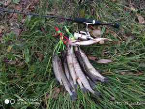 AGITEK puro carbonio canne <span class=keywords><strong>da</strong></span> Jigging leggere 1 sezione canne <span class=keywords><strong>da</strong></span> pesca - Product Image 5