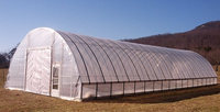 Film de feuille de plastique UV à effet de serre pour l'agriculture 200-250 Mic Green House Film de polyéthylène à effet de serre
