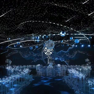 Thiết kế hiện đại đạo cụ đám cưới LED lưới đánh cá trang trí nội thất chuỗi hội trường đám cưới lục giác dây lưới sao trần trang trí - Product Image 3