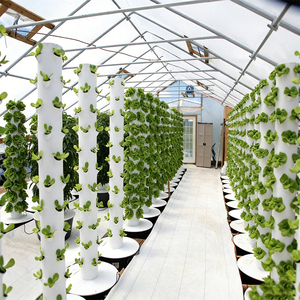 New Vertical Hydroponic Farm Greenhouse Agriculture Including Pump <b>Light</b> for Efficient Watering Lighting Direct Manufacturer - Product Image 3