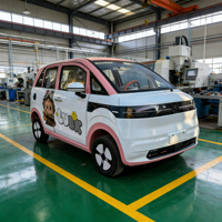 Mini-bus électrique fermé 4 places pour bébé, 4 roues, mobilité quotidienne adulte, batterie Li 200Ah, autonomie 300km, vitesse 55km/h