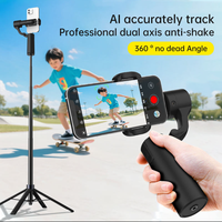 Perche à selfie professionnelle pliable stabilisée 2 axes avec suivi IA du visage, lumière LED et télécommande détachable rotative à 360° pour