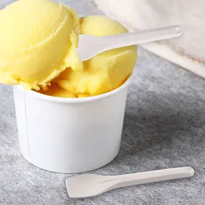 Biodegradable CPLA Ice Cream Spoon