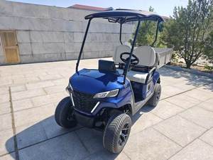 Carrito de Golf Eléctrico de Lujo BETETEK para 2 Personas, Diseño Cerrado Resistente a la Lluvia, para Campos de Golf en Áreas Húmedas, para Caminos Privados - Product Image 4