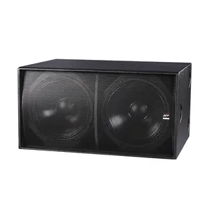 Dual 18 zoll subwoofer