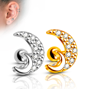 Joyería de Acero Inoxidable al por Mayor, Pendientes con Rosca Interna, <span class=keywords><strong>Piercing</strong></span> de <span class=keywords><strong>Labio</strong></span>, Diseño de Espina de Pescado con Parte Trasera Plana, Labret - Product Image 6