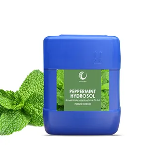 Tanaman alami Peppermint Hydrosol dalam jumlah besar air Peppermint larut dalam air minyak Peppermint untuk Wajah Wajah Toner rambut tubuh