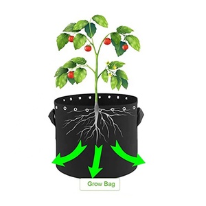 Venta Directa de Fábrica de Macetas de Tela No Tejida - Product Image 3