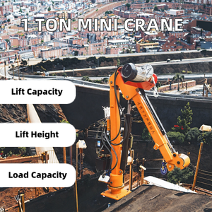 Mini grue de véhicule de 1 tonne 12V/24V 220V grue électrique domestique de levage montée sur camion à vendre - Product Image 3