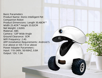 Certification CE Jouet pour chien intelligent avec caméra App Control Cat Laser Robot automatique avec fonction de vision nocturne Jouet