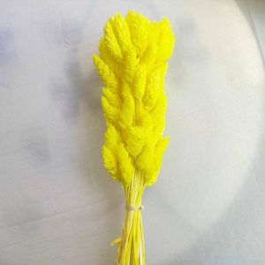 Hierba de <span class=keywords><strong>Phalaris</strong></span> Seca de Alta Calidad al por Mayor para Decoración del Hogar, Manualidades y Bodas - Product Image 2