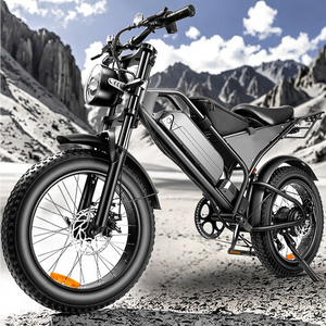 NLX B2 Nuovo Modello Economico Bicicletta Elettrica 48V con Pneumatici Fat per Adulti, 1000w, per Città e Fuoristrada, Versione UE e Brasile - Product Image 1