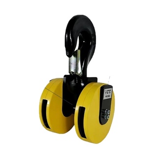 خطاف رافعة أحادي مع خطاف رئيسي وخطاف مساعد - Product Image 2