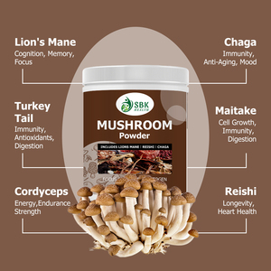Best Seller Mushroom Powder Collagen Immune Resilience Energy <b>Supplement</b> Matcha Energy Matcha Mushroom Calm Focus Powder - Product Image 3