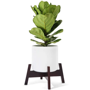 Porte-<span class=keywords><strong>pot</strong></span> <span class=keywords><strong>en</strong></span> <span class=keywords><strong>bambou</strong></span> de style moderne pour bureau à domicile ou jardin directement <span class=keywords><strong>en</strong></span> usine - Product Image 4