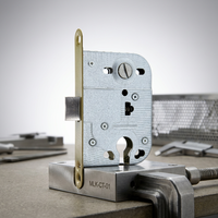 Corps de serrure à mortaise de porte d'entrée en acier inoxydable de style russe avec ingénierie de précision