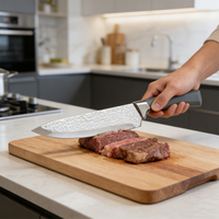 Ensemble de couteaux de cuisine multifonctionnels en acier inoxydable à cinq pièces, lames enduites écologiques ambidextres Chef Star, vente en gros