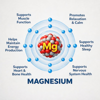 OEM Magnésium L-Thréonate 90 Capsules, Magnésium à Absorption Élevée, Compléments Cérébraux pour la Mémoire et la Concentration
