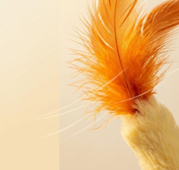 Jouet pour chat : Baguette à chatouiller longue avec clochette et plumes pour le jeu des chats
