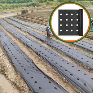 Toile <span class=keywords><strong>de</strong></span> <span class=keywords><strong>paillage</strong></span> agricole non <span class=keywords><strong>tissée</strong></span> personnalisée, écologique, anti-UV, en PP, 60 g/m², à 4 trous <span class=keywords><strong>de</strong></span> plantation - Product Image 1