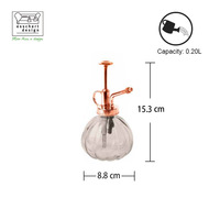 TR023 Esschert Design 3 couleurs tendance nouveau bureau Mini plante brumisateur vente en gros verre intérieur plante brumisateur