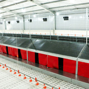 Boîte à œufs automatique pour l'élevage des œufs, plancher pour l'éclosion - Product Image 3