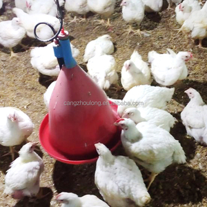 Yyb Lm93 Tự Động Hai Lớp Gà <span class=keywords><strong>plasson</strong></span> Người Hút Nước Jumbo Gà Thịt Chuông Người Hút Với Trọng Lượng Ấm Đun Nước - Product Image 6