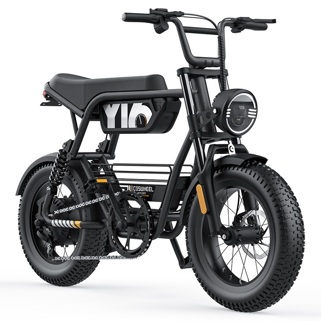 COSWHEEL Y16 Electric Bicycle Eu Stock Fast Delivery 1000w High Speed Electric Beach Bike