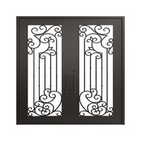 Portes doubles en fer forgé de style français avec grille simple et fenêtre pour l'extérieur