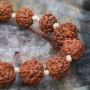 ชุดลูกปัดไม้5เม็ดมูชิรุทรักษะมาลา - Product Image 5