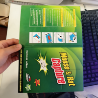 Pegamento Fuerte para Ratones, Tabla Adhesiva para Control de Plagas, Trampas para Ratas, Tablas Adhesivas
