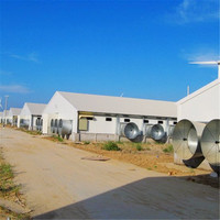Poules pondeuses préfabriquées Fermes d'élevage de poulets Structure en acier Cage pour poules pondeuses Ferme avicole Cage pour poules pondeuses